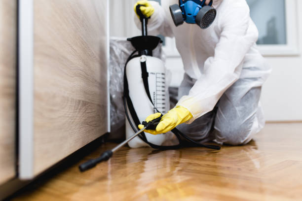 Best Affordable Pest Control Services  in Campbellsport, WI