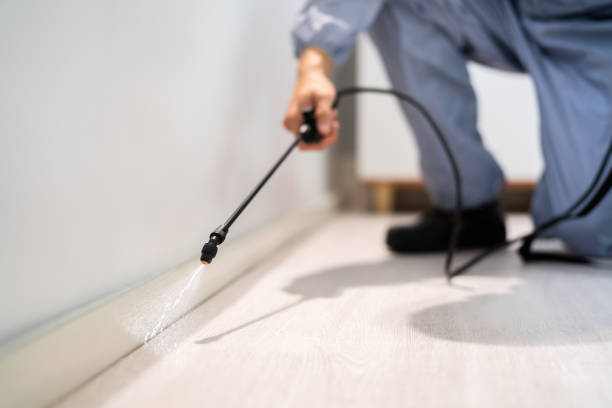 Best Wasp Removal Services  in Campbellsport, WI