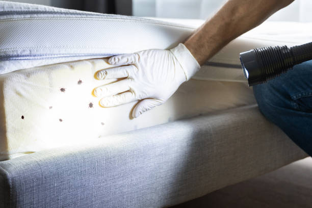 Best Residential Pest Control  in Campbellsport, WI
