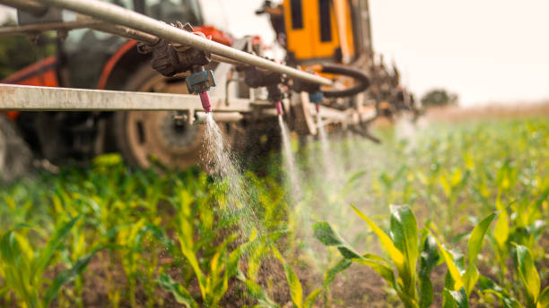 Professional Pest Control in Campbellsport, WI